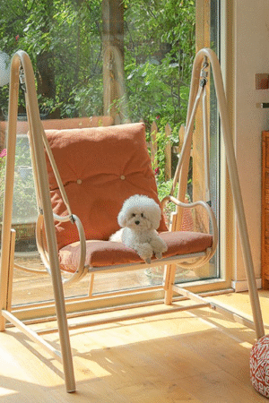 Indoor Wooden Swing Chair with Cute Pomeranian Puppy