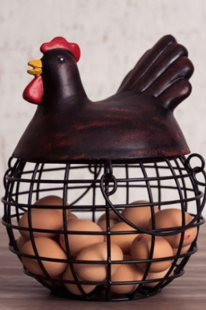Rustic Chicken Wire Egg Basket Jar