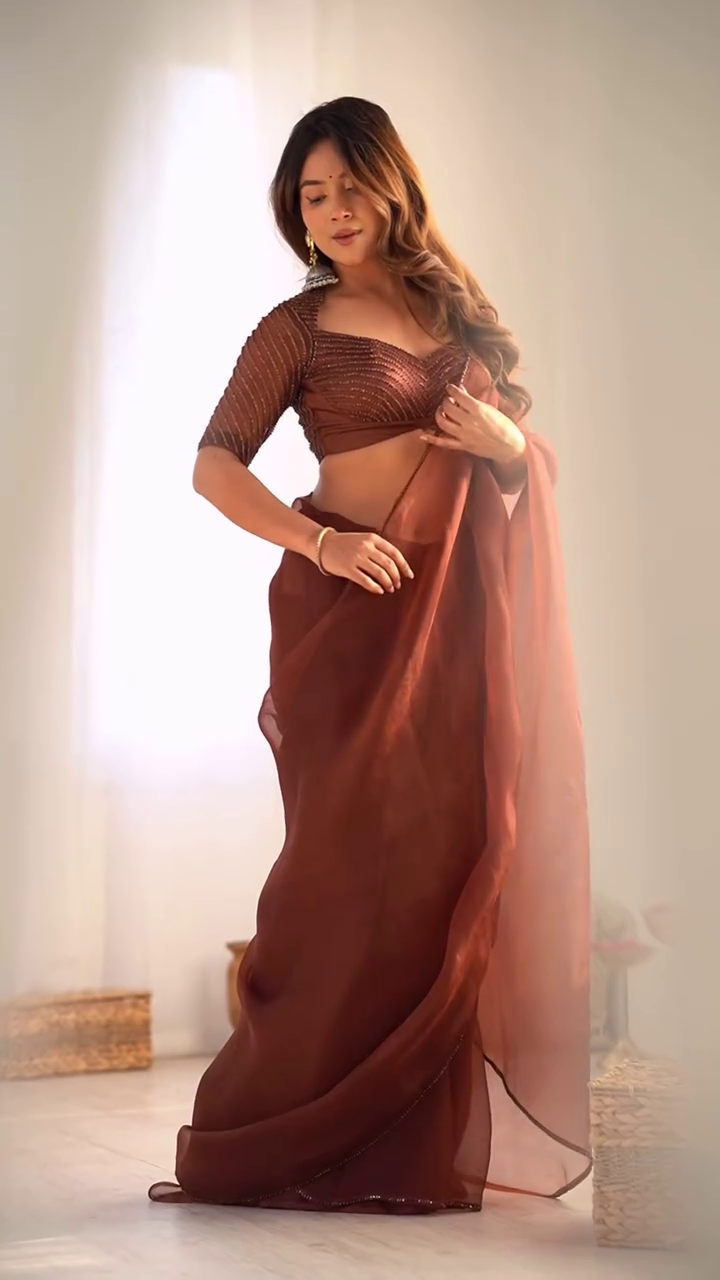 Rust Brown Sheer Saree with Embellished Blouse